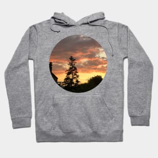 Home / Pictures of My Life Hoodie